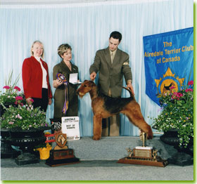 National Specialty 2004 Best of Winners - Click to view larger image