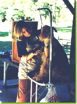 Kelly Wood conducts a grooming seminar at Funday 2004.