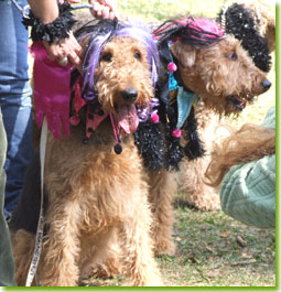 Ontario Fun Day 2007