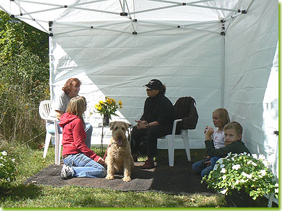 Airedales revealed their innermost secrets to animal communicator Lauren Bode.