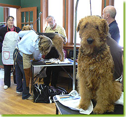 ATCC Grooming Seminar 2007 - I really wish it was MY turn...