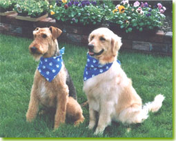 Megan and Robyn - photo courtesy of Carole Kane