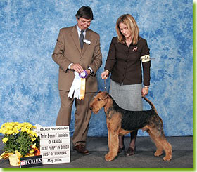 National Specialty 2006 - Best Puppy