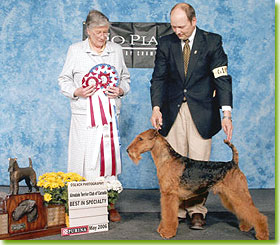 National Specialty 2006 - Best of Breed