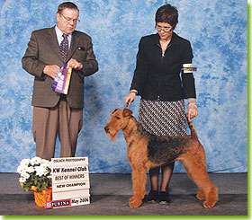 National Specialty 2006 - Reserve Winners Bitch