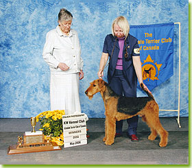 National Specialty 2006 - Winners Dog