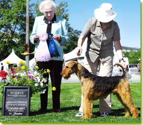 National Specialty 2007 - Reserve Winners Dog
