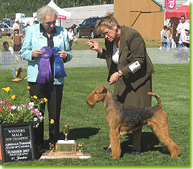 National Specialty 2007 - Winners Dog