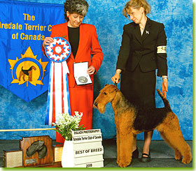 National Specialty 2008 - Best of Breed