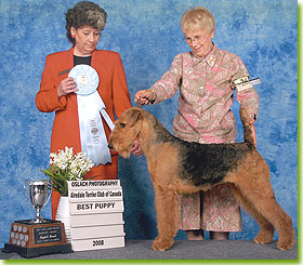National Specialty 2008 - Best Puppy