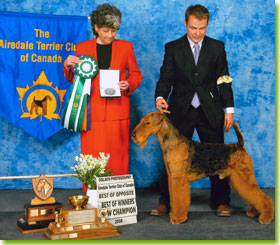 National Specialty 2008 - Winners Dog