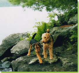 Satchel and Hadley, photo by Vicki Ziegler